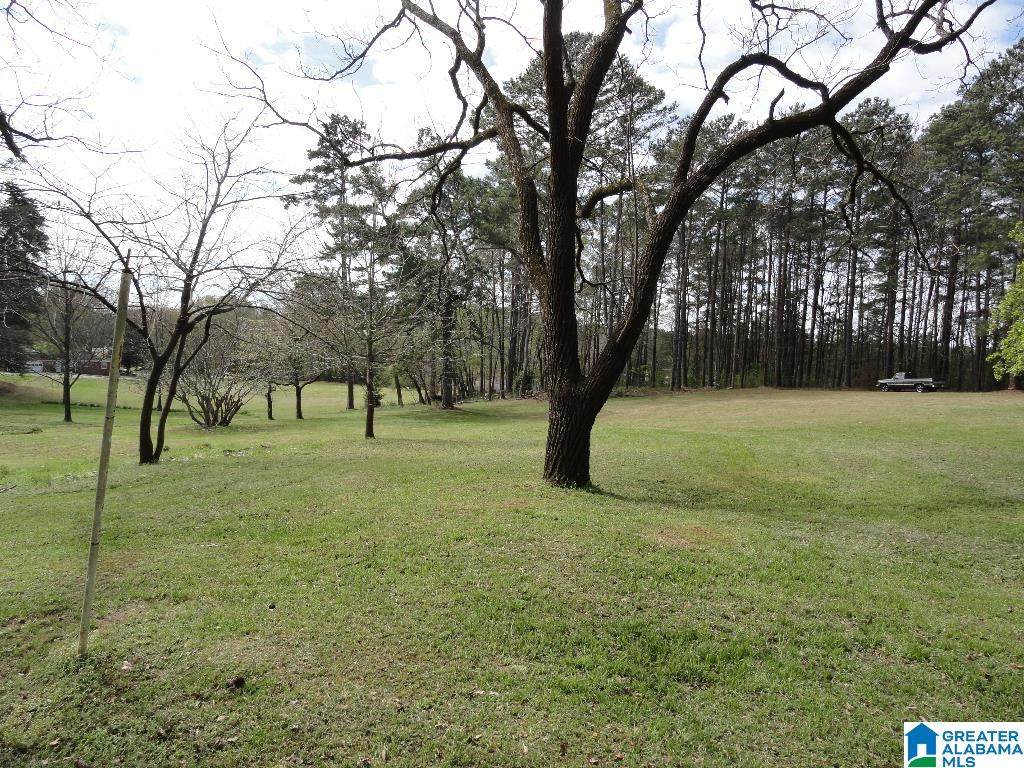 1624 Lake Drive - Photo 1