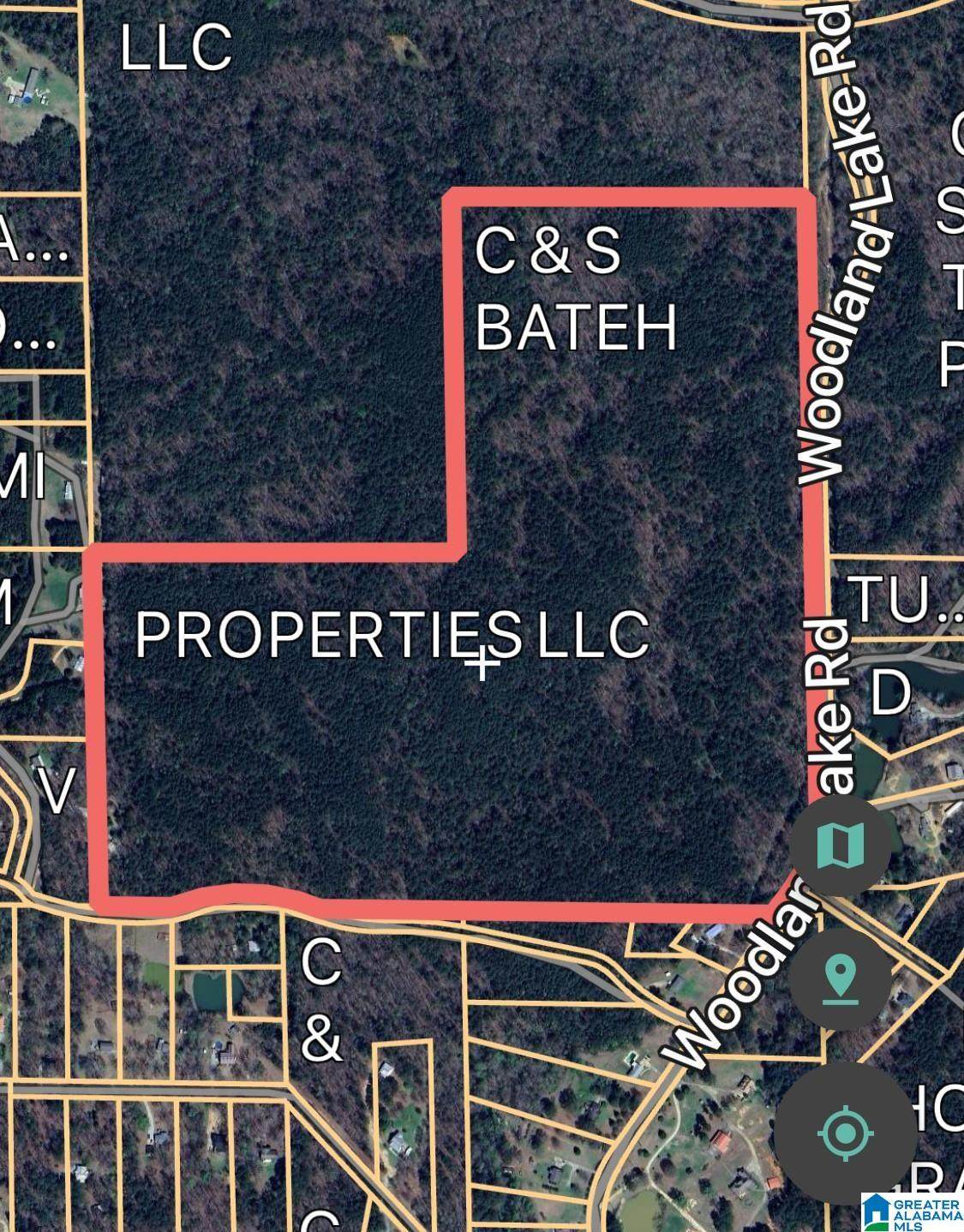  Woodland Lake Road - Photo 1