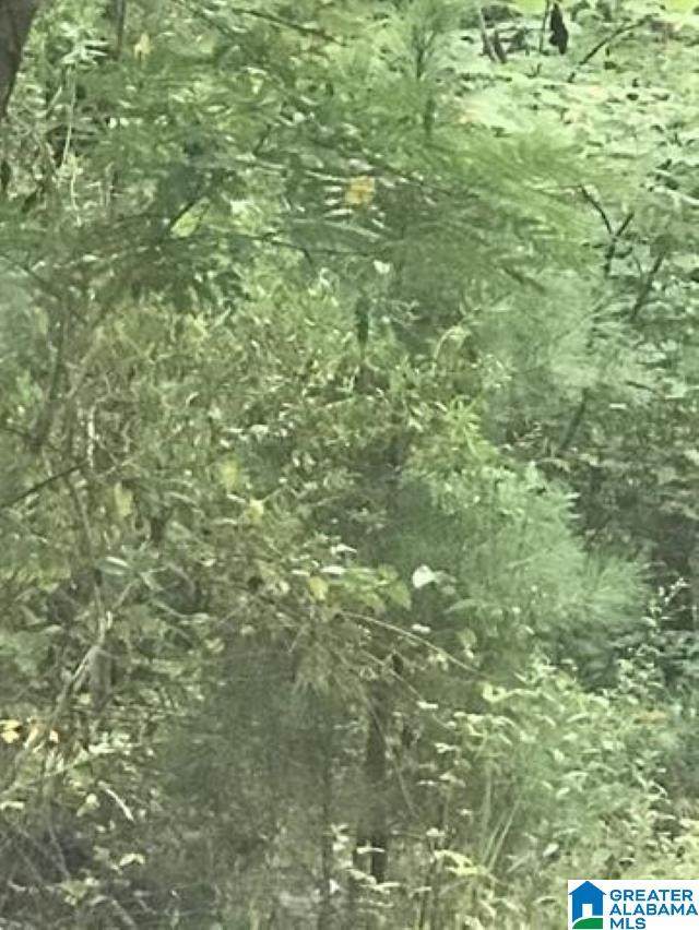 0 Aquarius Drive - Photo 1