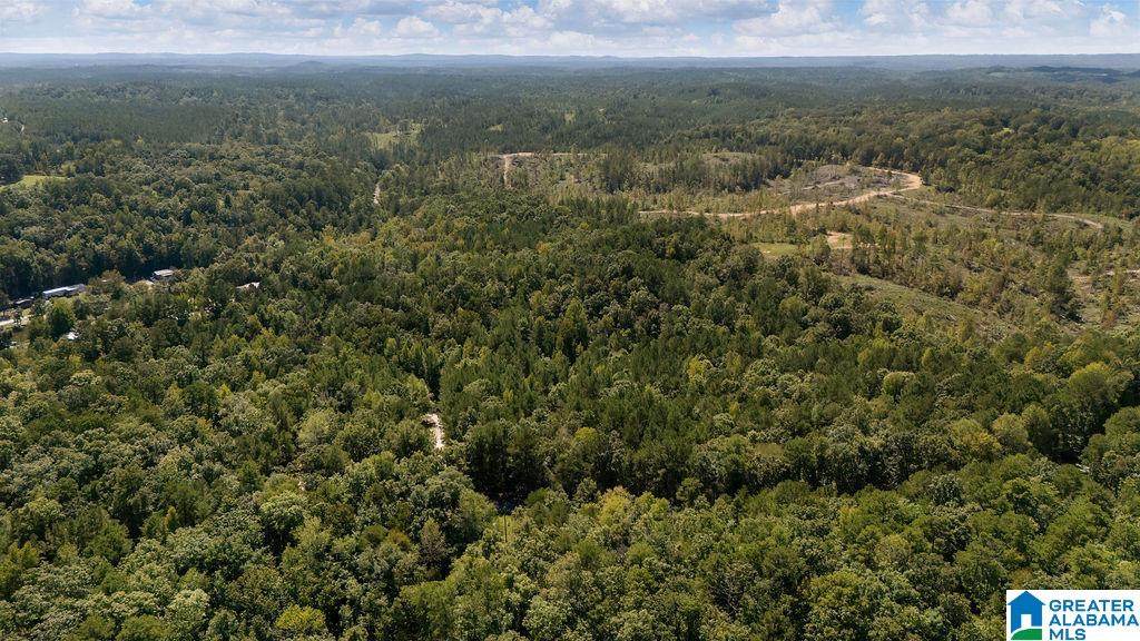 0 County Road 759 - Photo 1