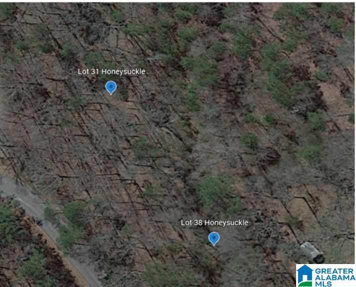 Lot 38 Honeysuckle Lane - Photo 1