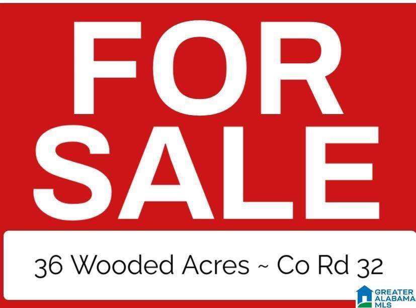 0 County Road 32 - Photo 1