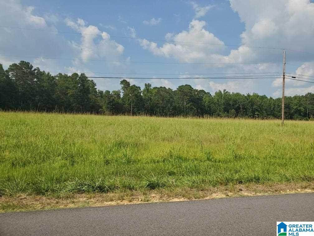 440 Fox Valley Farms Road - Photo 1