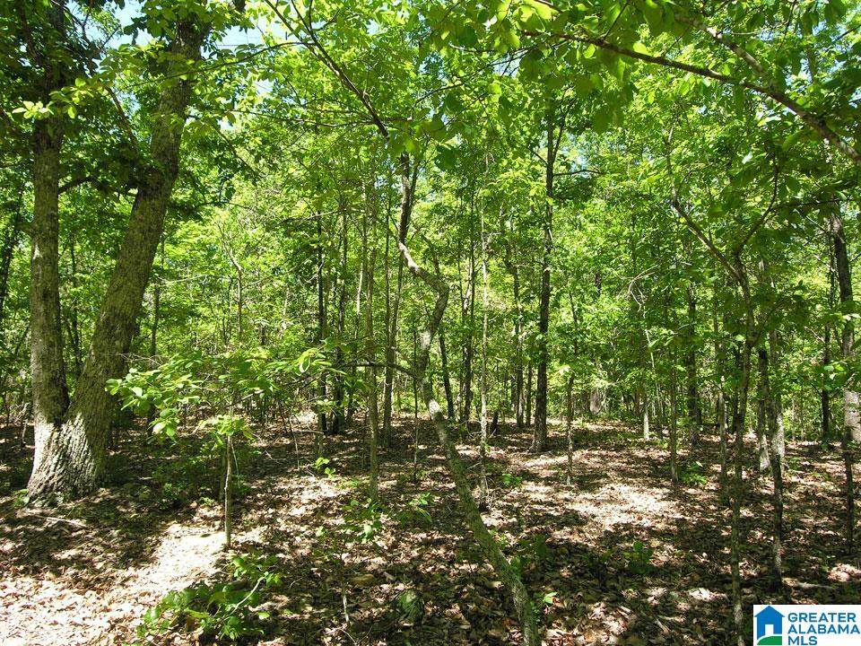 4376 South Shades Crest Road - Photo 1
