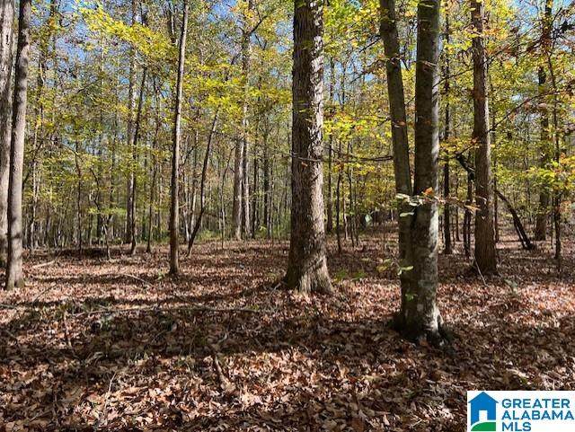 0 Dorough Road - Photo 1