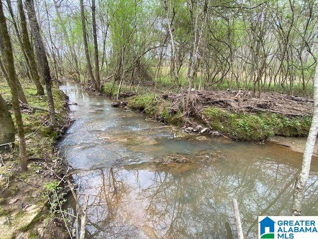  Wolf Creek Road - Photo 1