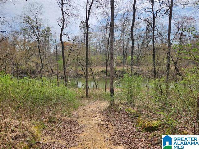 164 Sherwood Drive - Photo 1