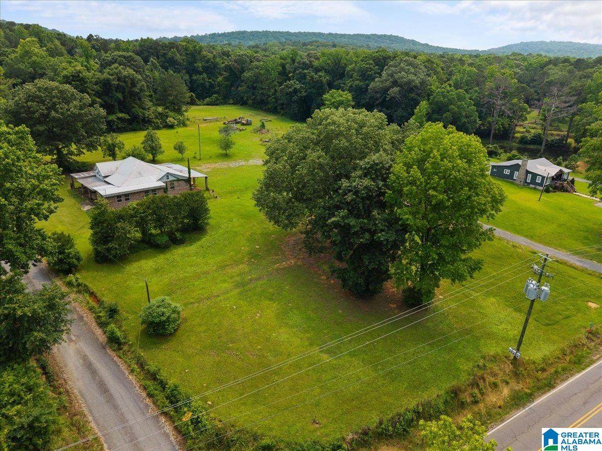40 Sulfur Springs Road - Photo 1