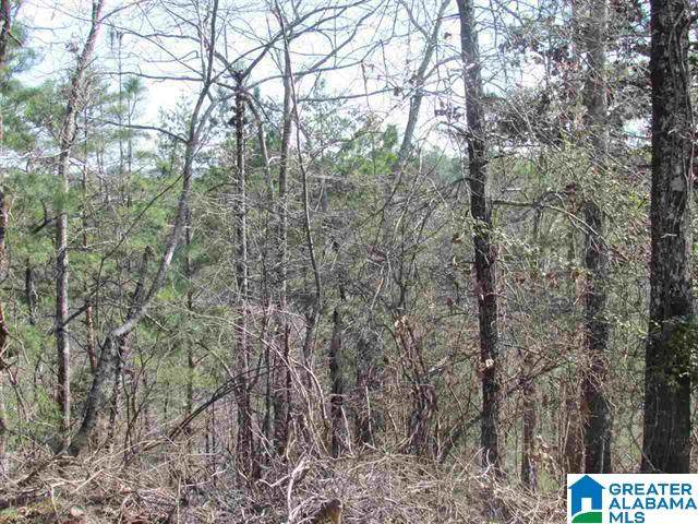 0000 Cogswell Avenue - Photo 1