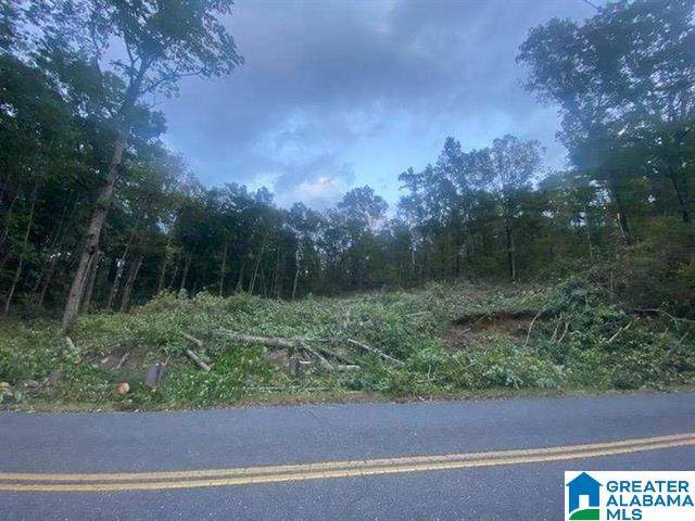 2005 Rock Mountain Drive - Photo 1