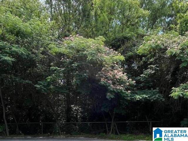 2063 Hamilton Place - Photo 1