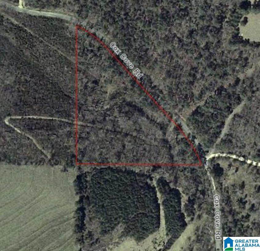 0 Cox Cove Road - Photo 1