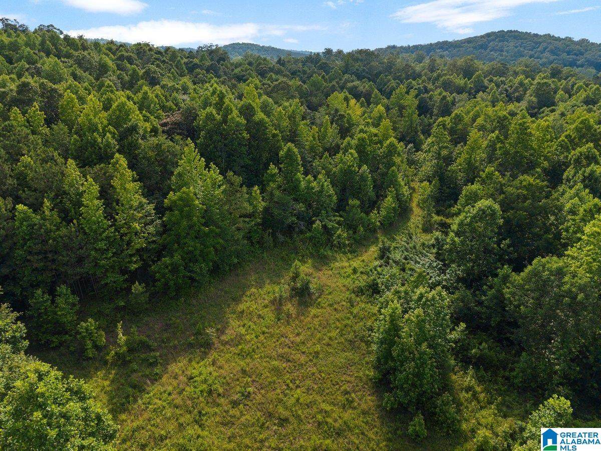 Lot #1 Highway 75 - Photo 1