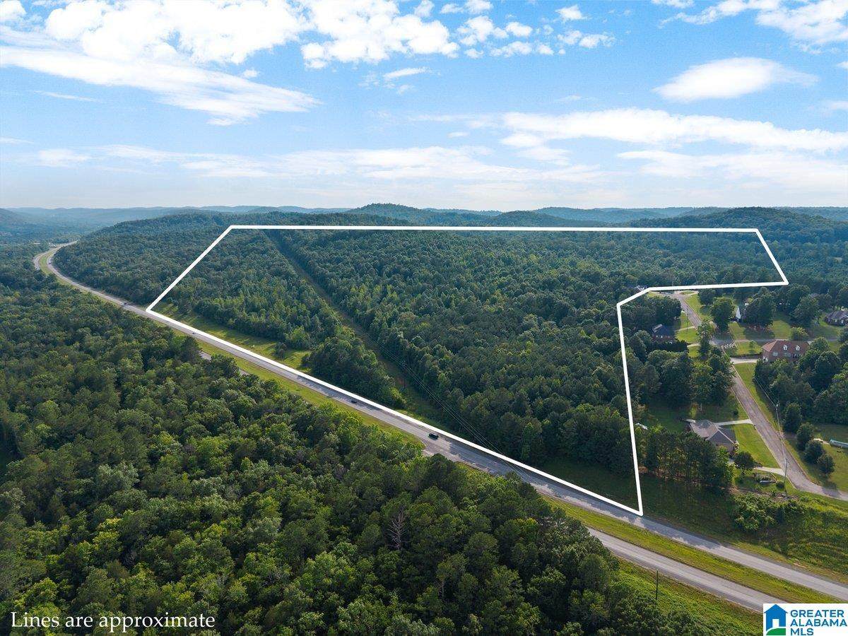 Lot #6 Highway 75 - Photo 1