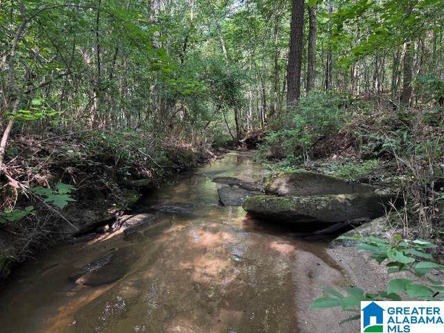 63445 Highway 22 - Photo 1