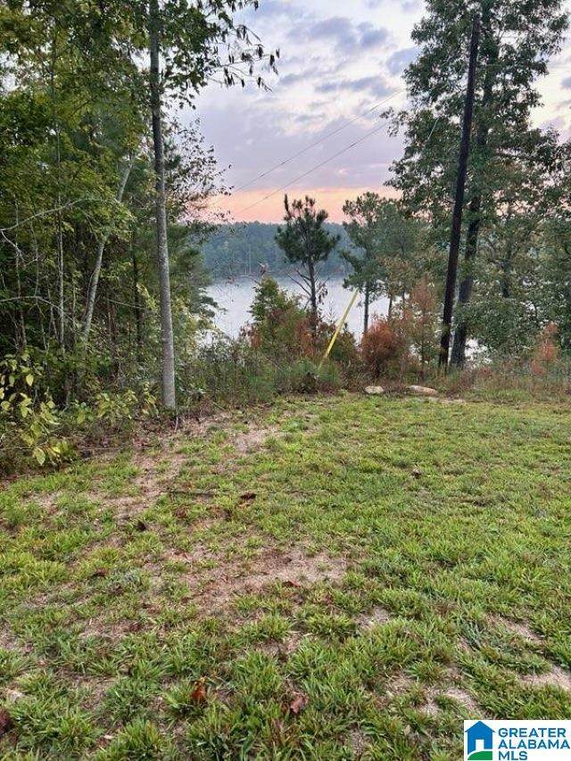 94 County Road 258 - Photo 1