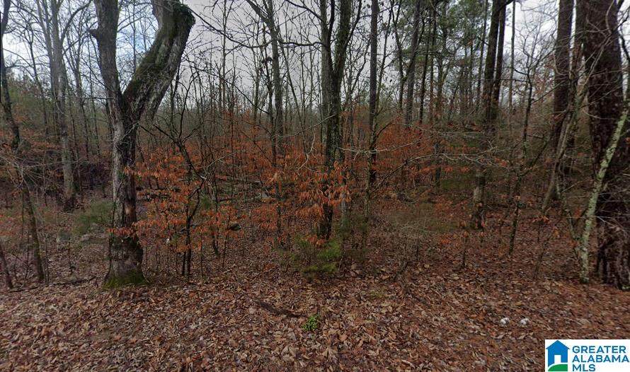 0 Low Gap Road - Photo 1