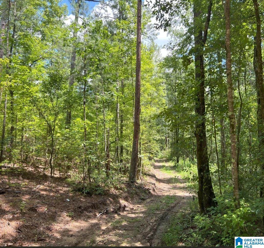 0 Fleming Road - Photo 1