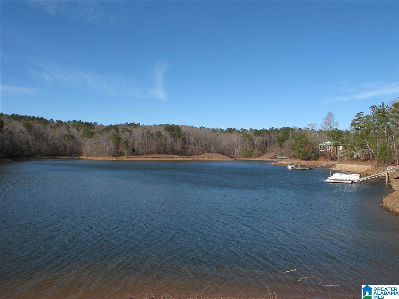 Lot 13 County Road 99 - Photo 1
