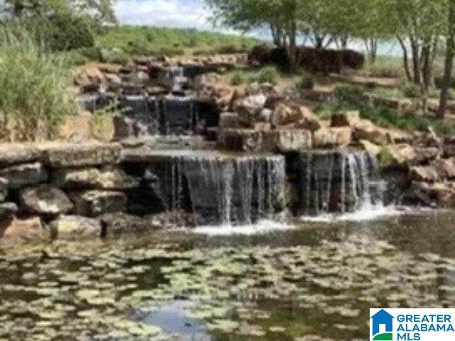 410 Gray Fox Road - Photo 1