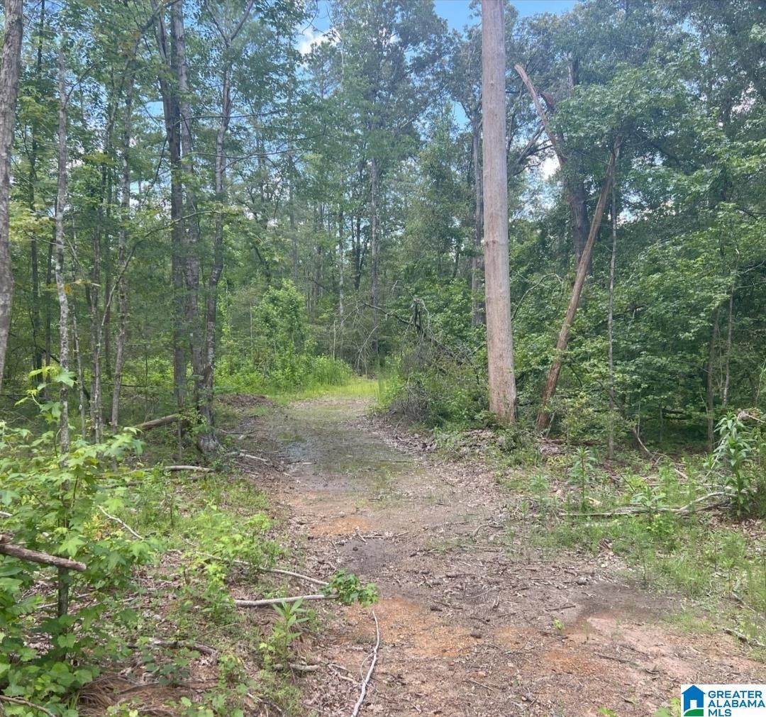 000 Fleming Road - Photo 1