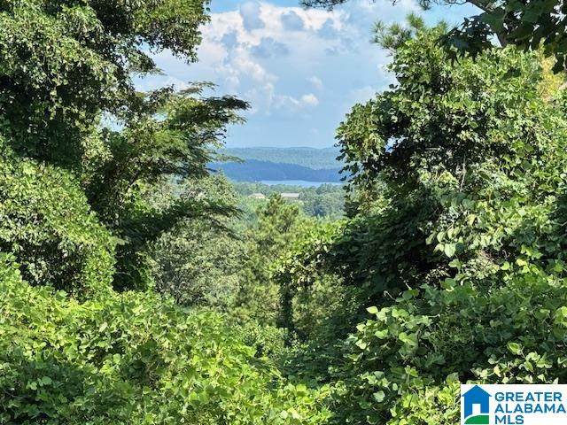  County Road 237 - Photo 1