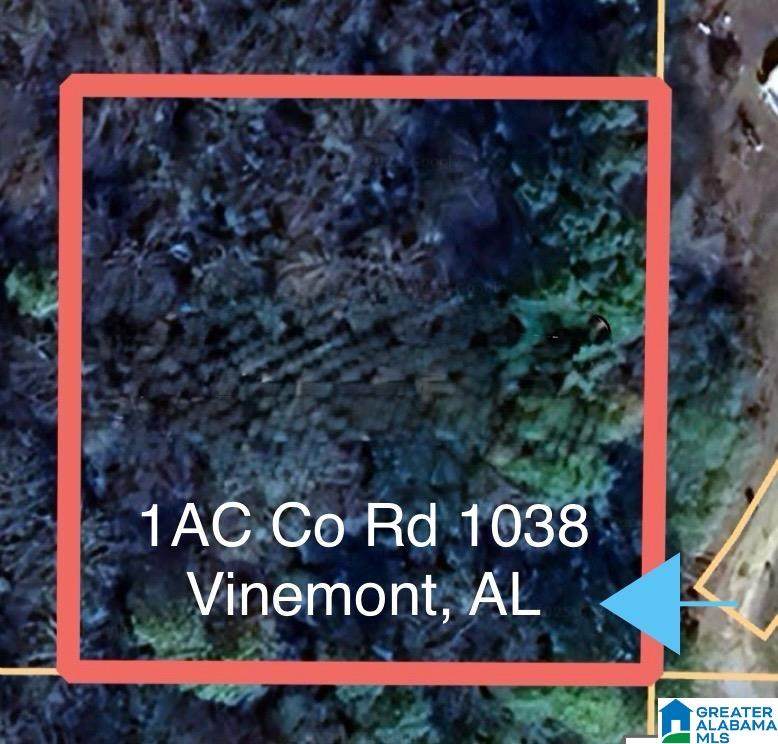 1AC County Road 1038 - Photo 1