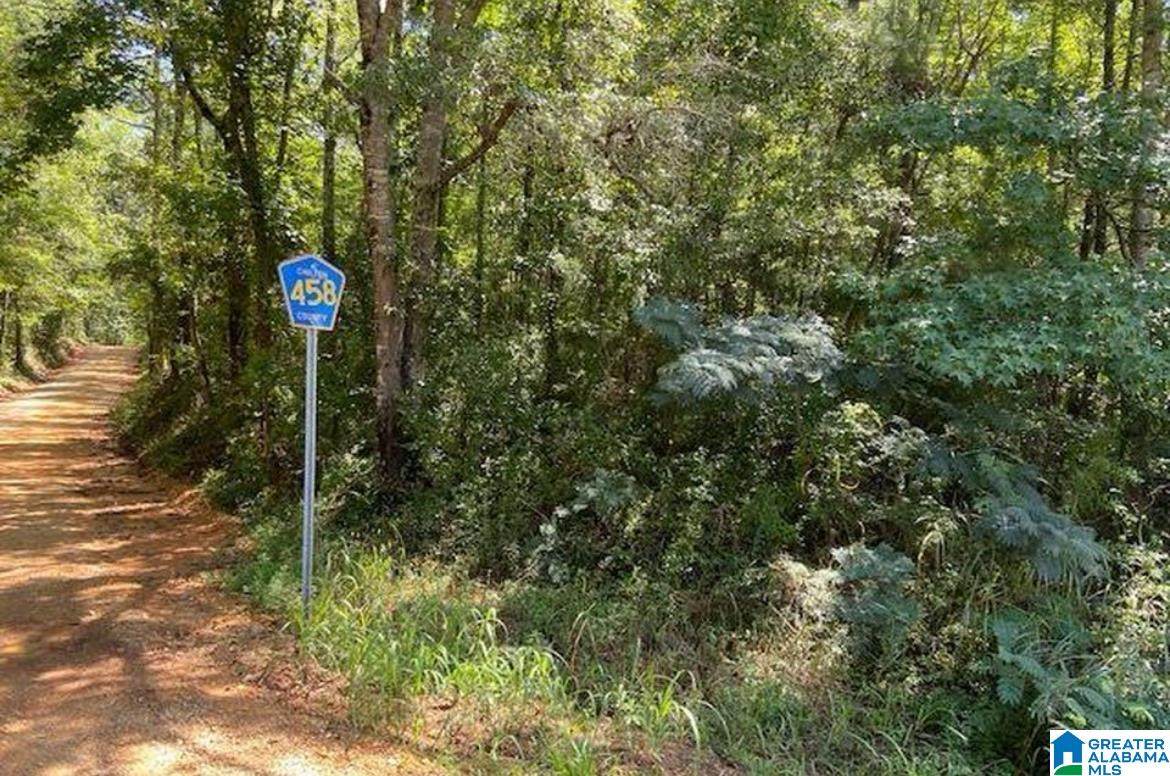0 county rd 458 County Road - Photo 1