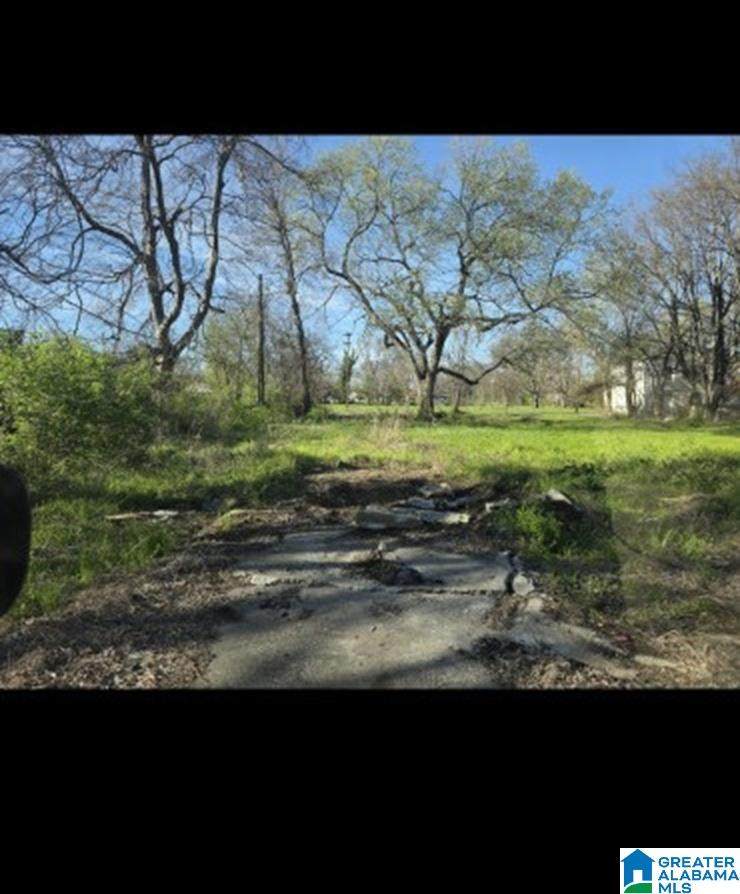 205 Graymont Avenue - Photo 1