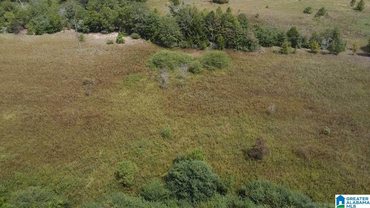 0 County Road 43 - Photo 1