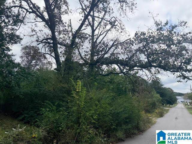 1919 Heritage Road - Photo 1