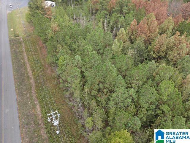  Concord Church Road - Photo 1