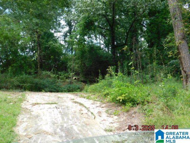 4908 Branchville Road - Photo 1