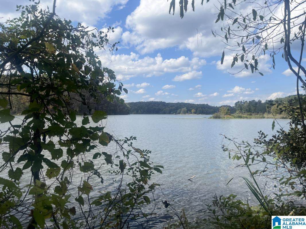  Eagle Port Road - Photo 1