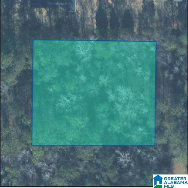 0 Lane Road - Photo 1