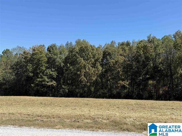 775 County Road 1498 - Photo 1