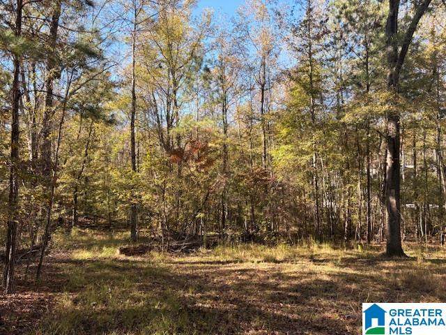 4568 Cabin Road - Photo 1