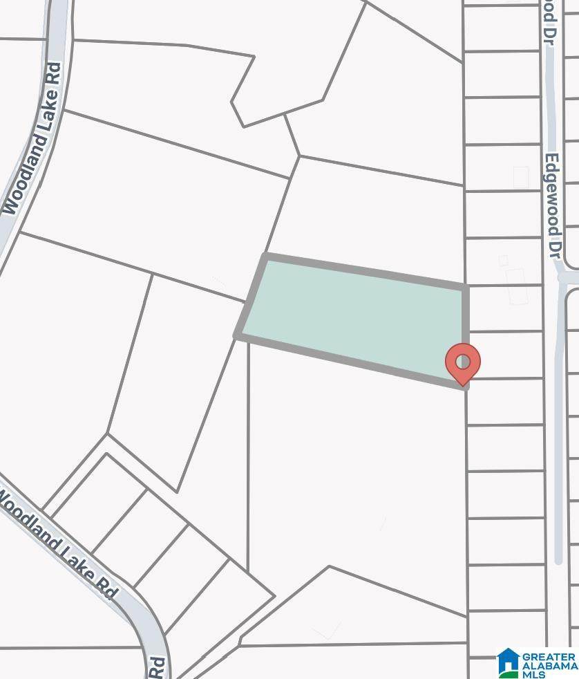 12799 Woodland Lake Road - Photo 1