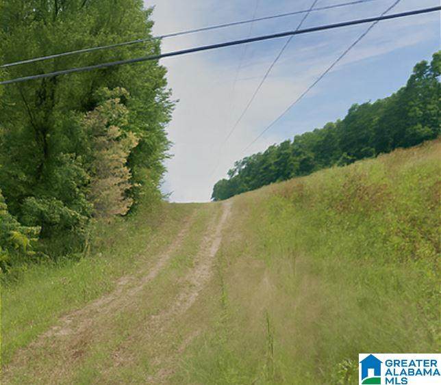 416 Wadsworth Drive - Photo 1