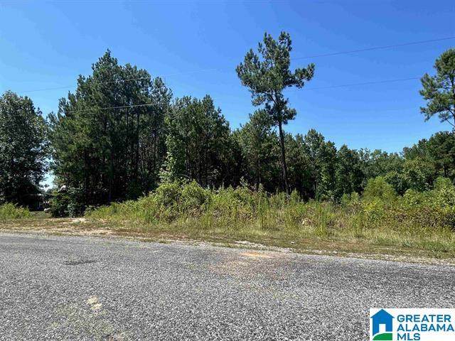 0 Cedar Creek Drive - Photo 1