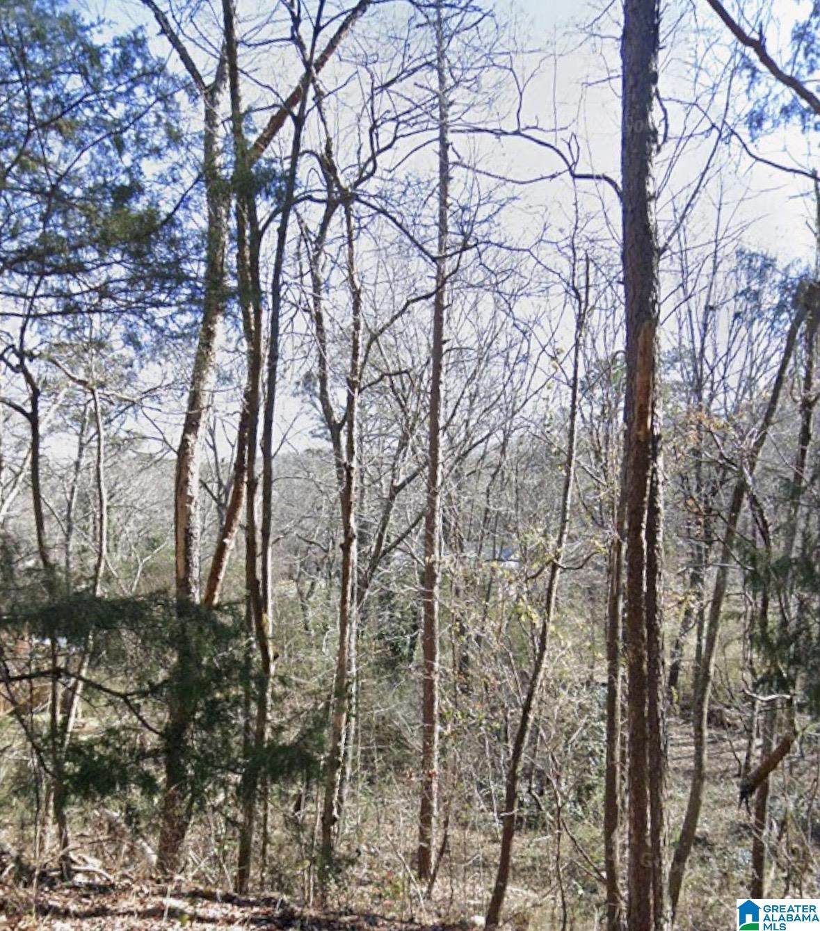 0 Ridgely Drive - Photo 1