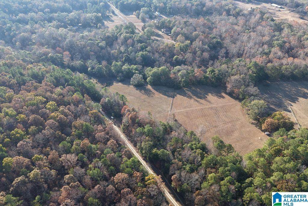 330 County Road 1055 - Photo 1