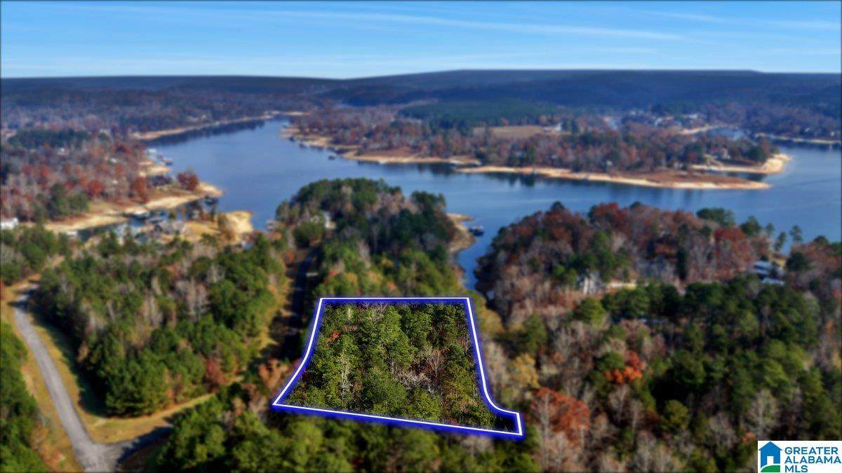  Long Point Road - Photo 1