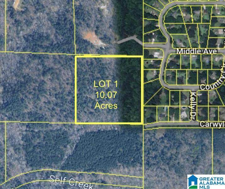 8260 Kermit Johnson Road - Photo 1