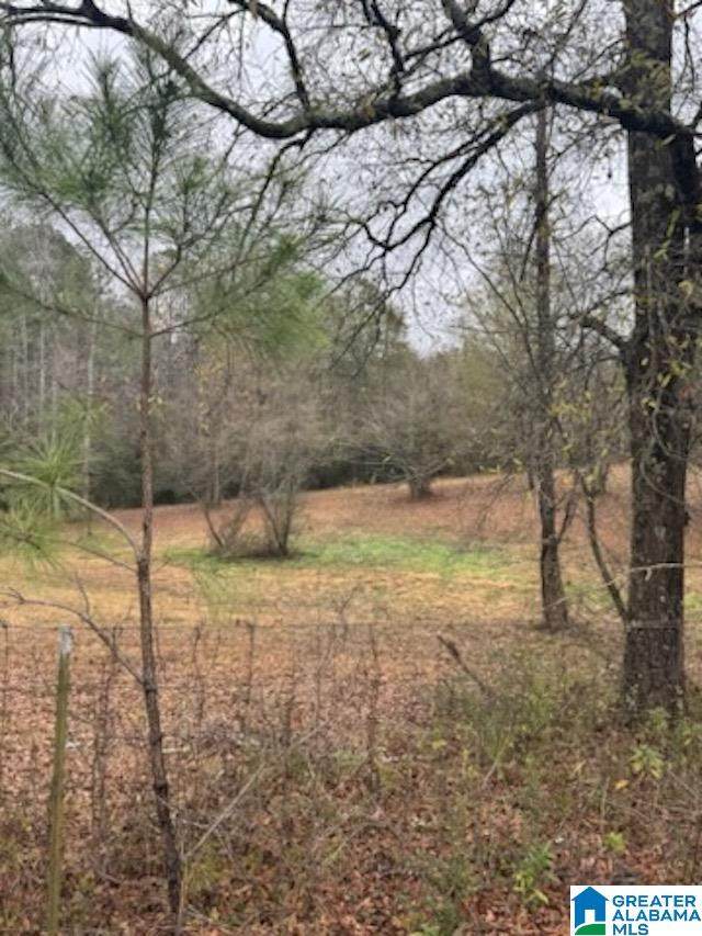 812 Dee Hendrix Road - Photo 1