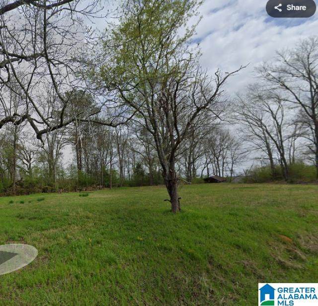 0 Higginbotham Road - Photo 1