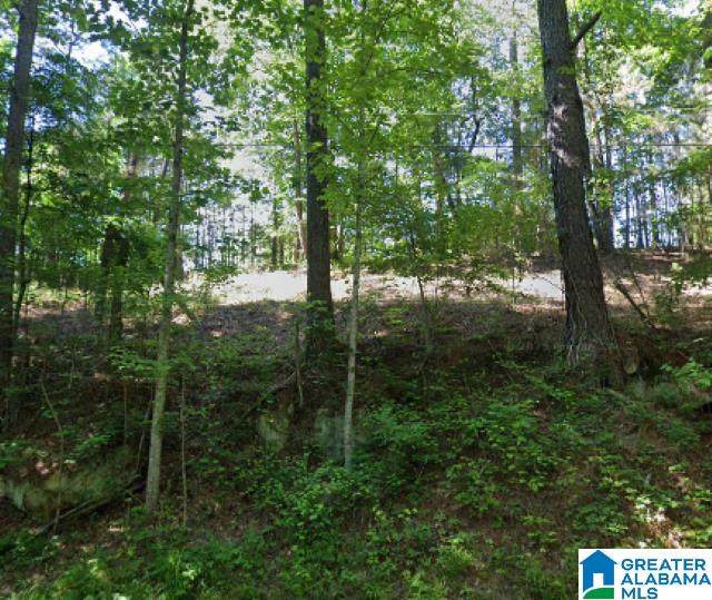 0 Kiowa Road - Photo 1