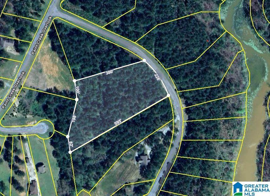  Paint Creek Lane - Photo 1