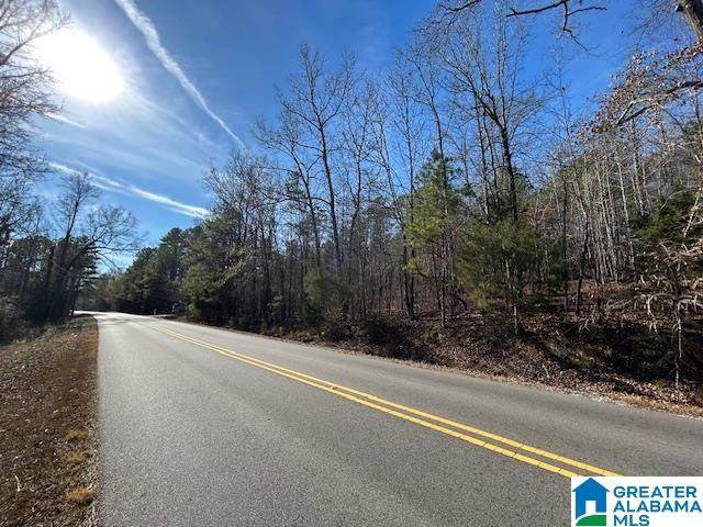 481 Angel Drive - Photo 1