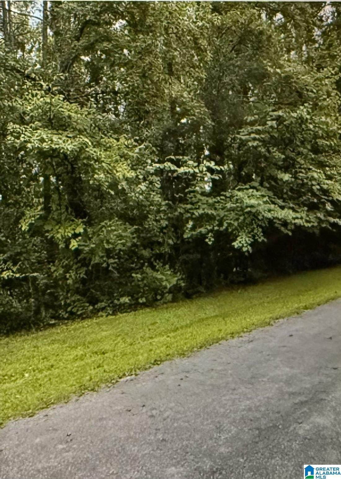 LOT 32 Woodside Street - Photo 1